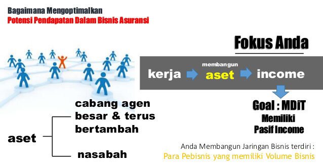 fokus kerja di bisnis allianz